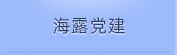 K8凯发党建