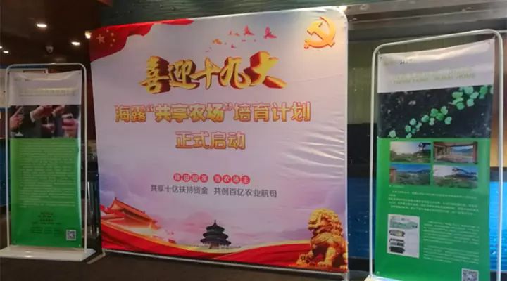 1-1G12323562J38 K8·凯发(中国)天生赢家·一触即发