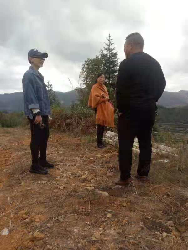 K8·凯发(中国)天生赢家·一触即发