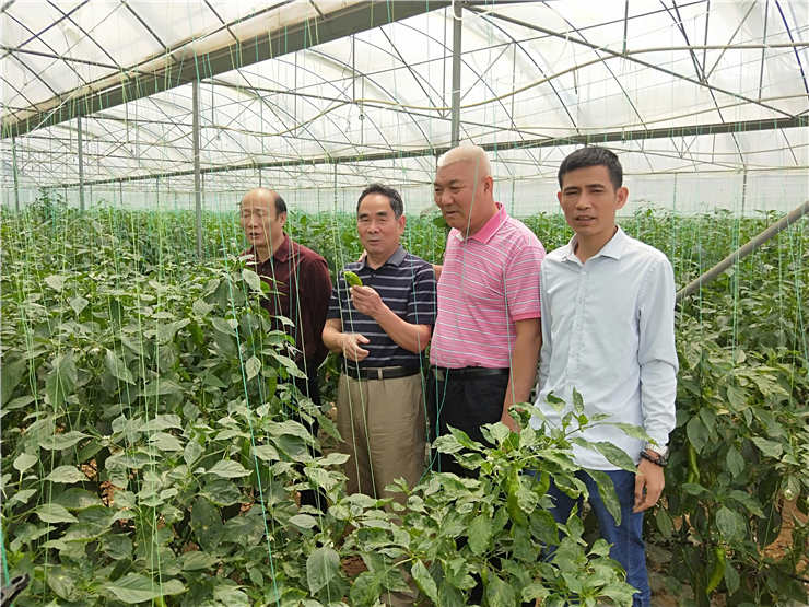 K8·凯发(中国)天生赢家·一触即发