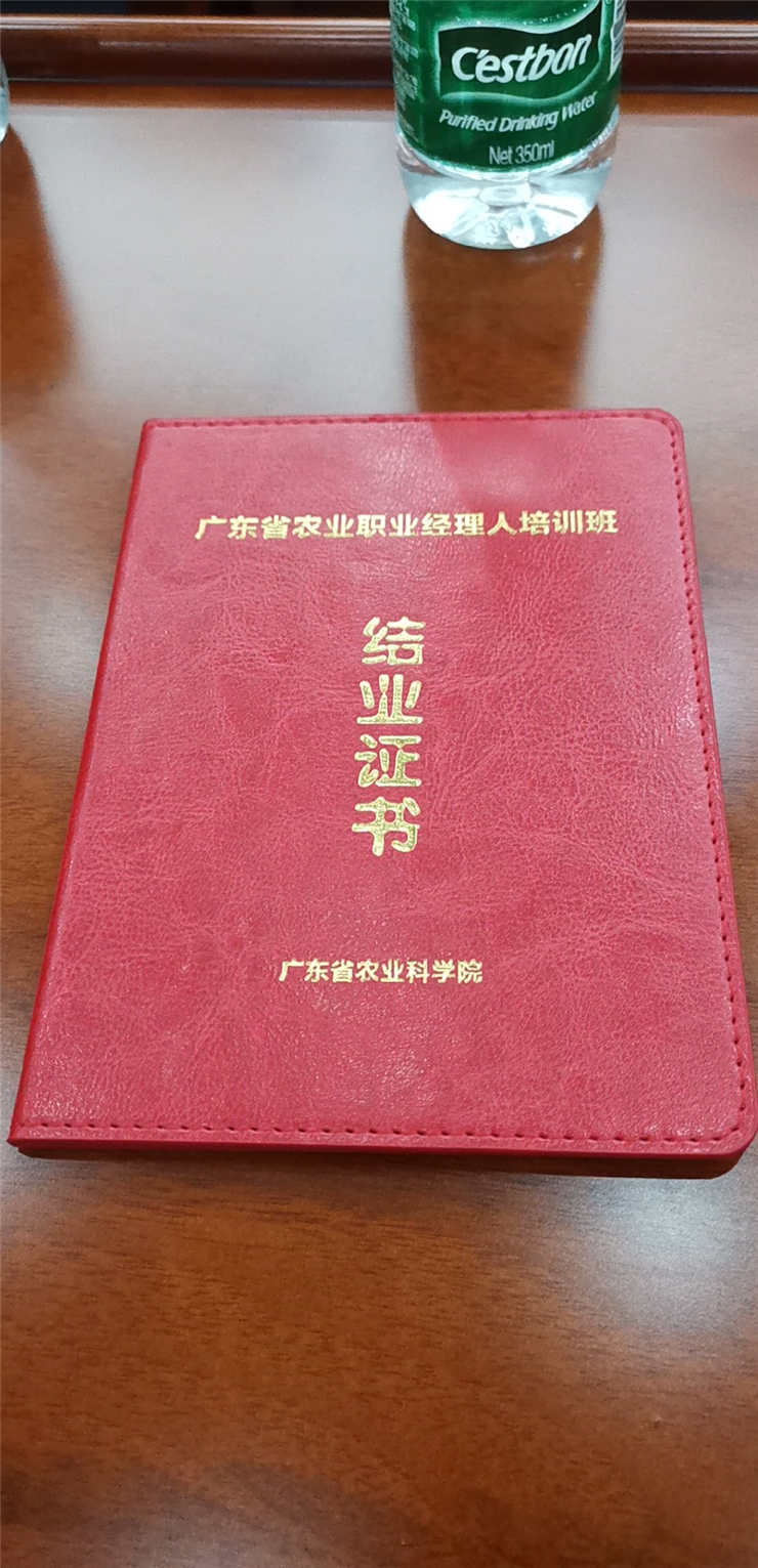 1-1Z419161613R5 K8·凯发(中国)天生赢家·一触即发