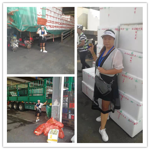 K8·凯发(中国)天生赢家·一触即发