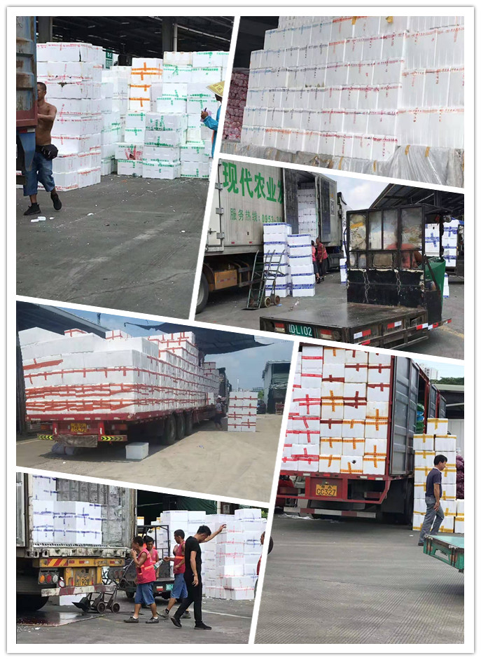 K8·凯发(中国)天生赢家·一触即发