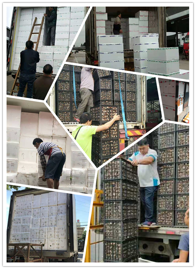 K8·凯发(中国)天生赢家·一触即发