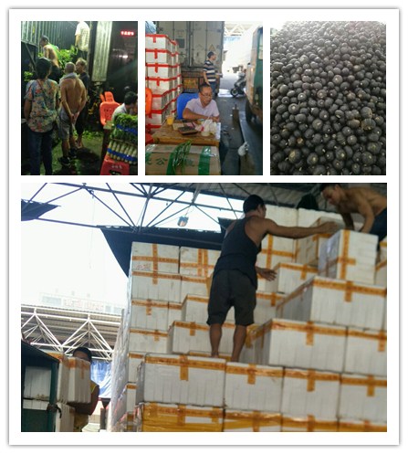 K8·凯发(中国)天生赢家·一触即发