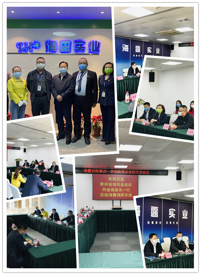1-20031109460DP K8·凯发(中国)天生赢家·一触即发