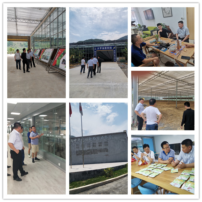 K8·凯发(中国)天生赢家·一触即发