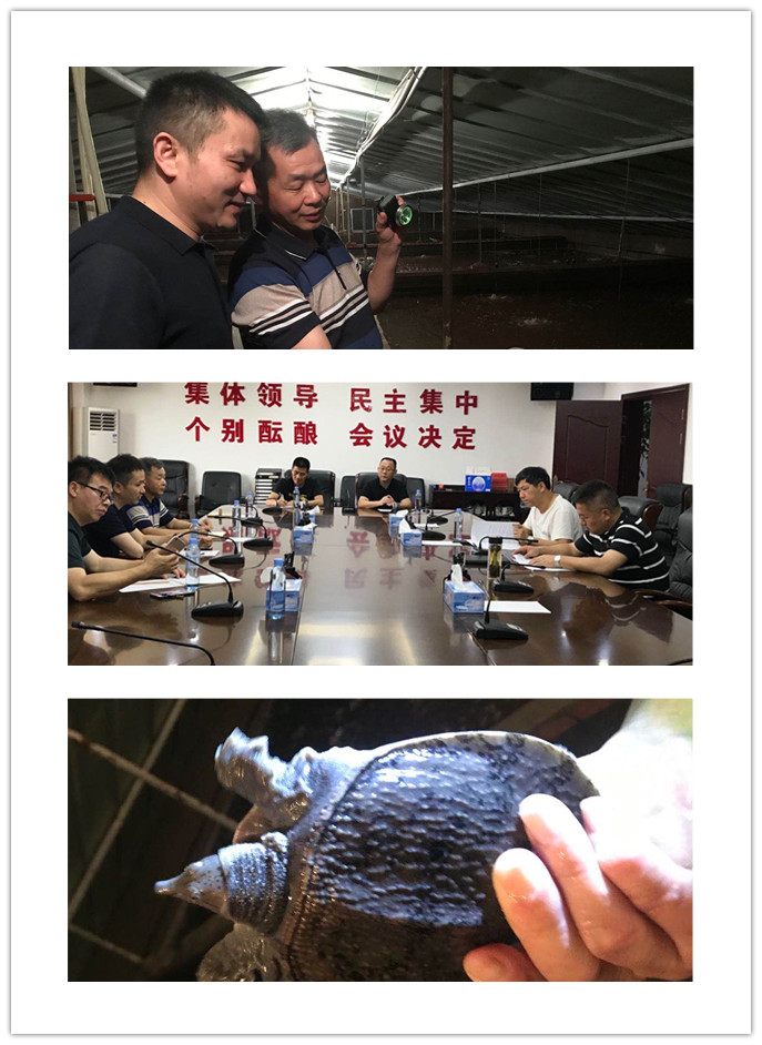 K8·凯发(中国)天生赢家·一触即发