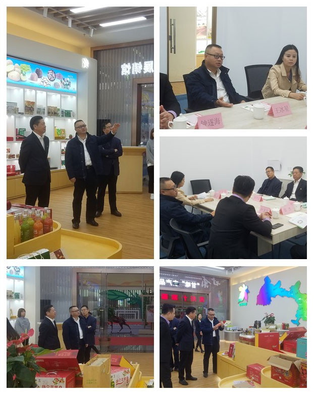 K8·凯发(中国)天生赢家·一触即发