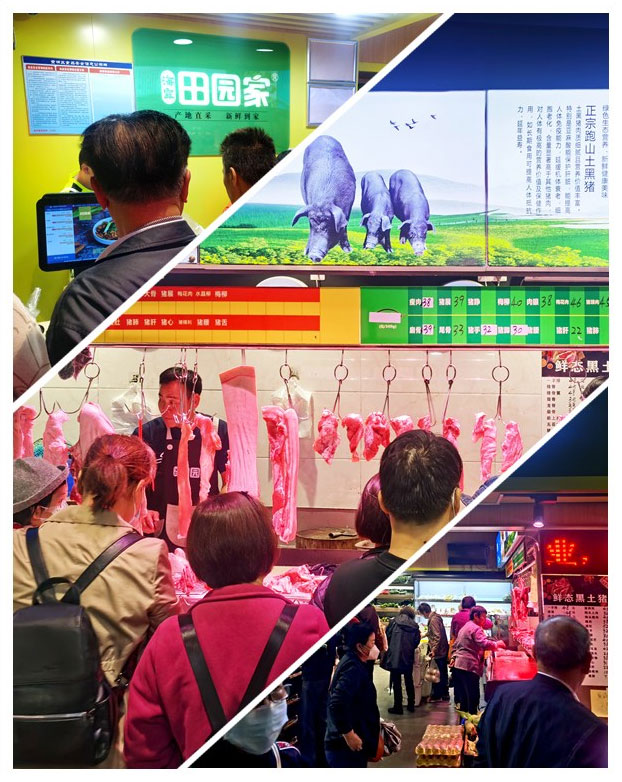 K8·凯发(中国)天生赢家·一触即发