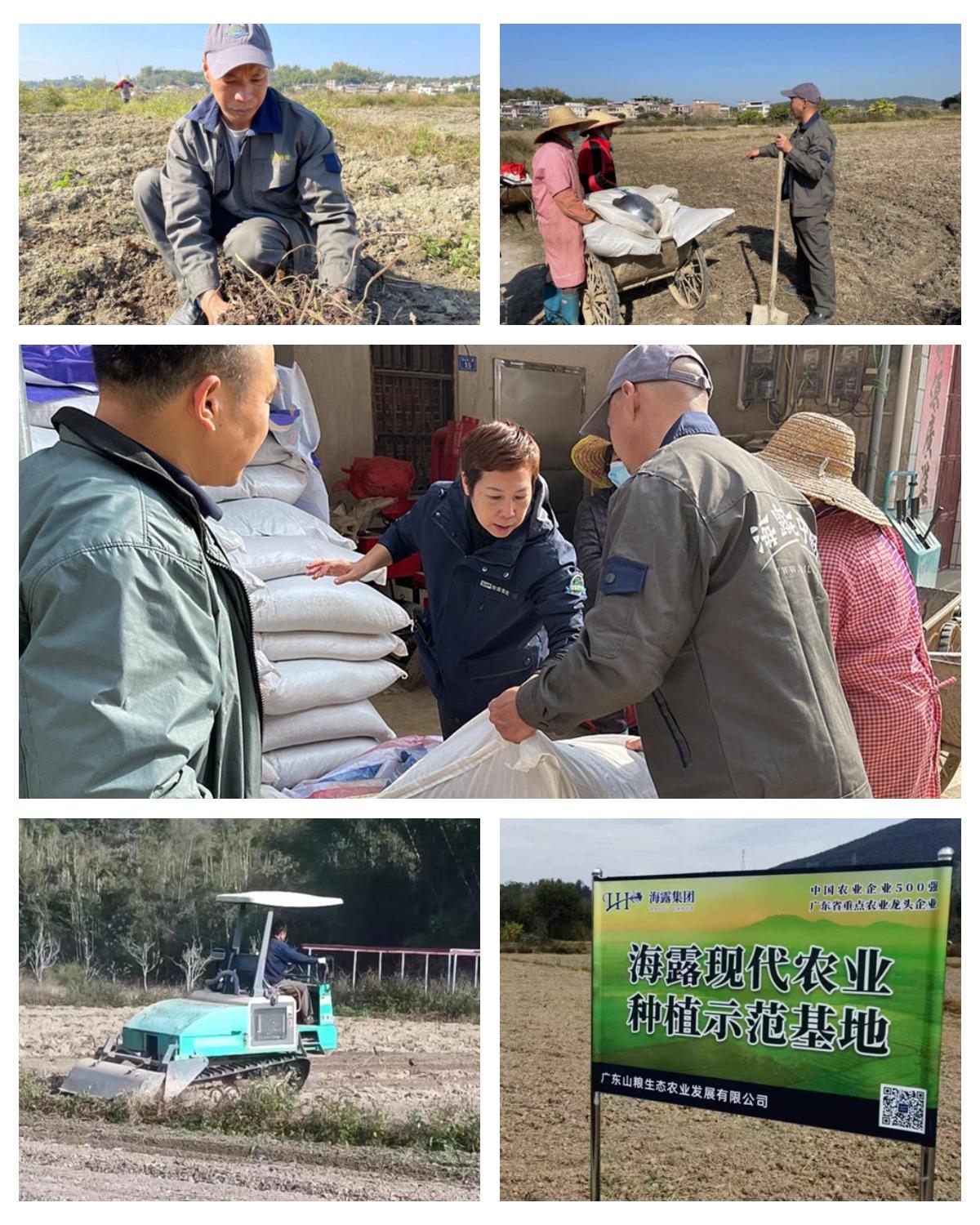 1-230110101S62U K8·凯发(中国)天生赢家·一触即发