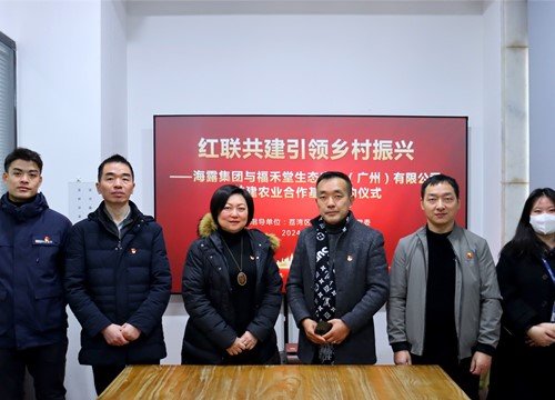 红联共建引领村落振兴，党建促业务深度融合