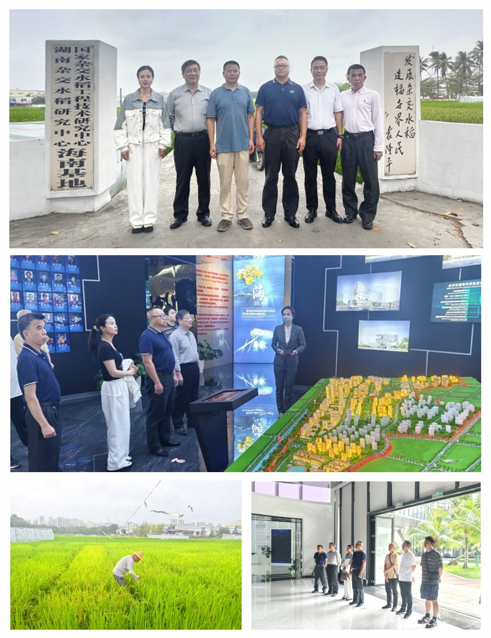1-24031P93210I4 K8·凯发(中国)天生赢家·一触即发