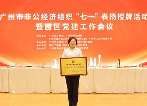 标杆引领，荣誉升级！集团党支部荣膺广州市非公有造经济组织“双强六好”标