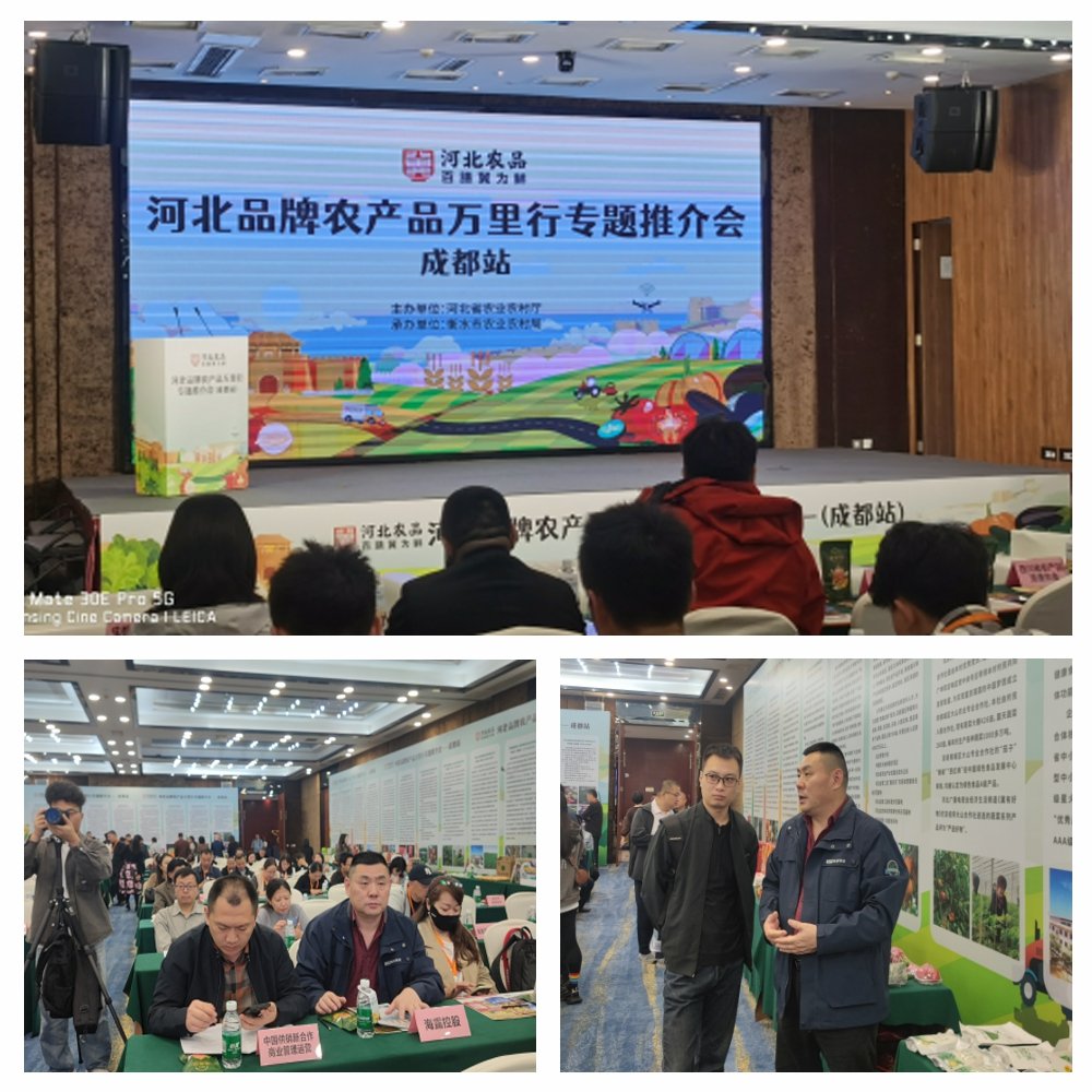 1-24102416292DM K8·凯发(中国)天生赢家·一触即发