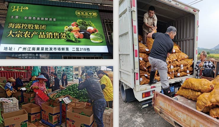 K8·凯发(中国)天生赢家·一触即发