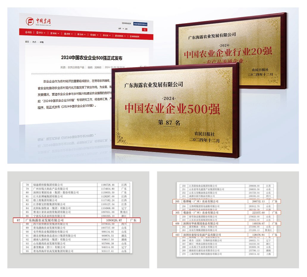 1-2412240943523B K8·凯发(中国)天生赢家·一触即发
