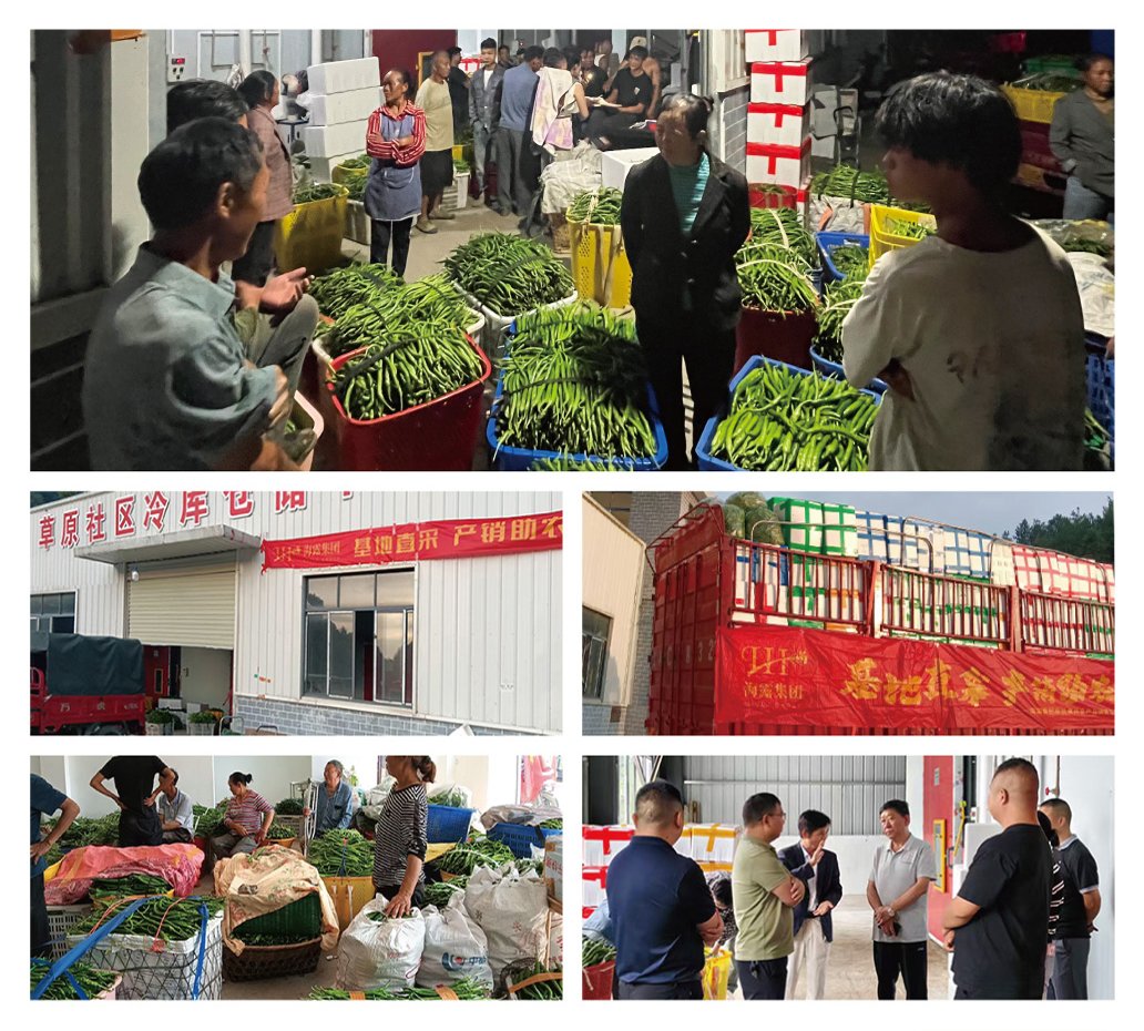 K8·凯发(中国)天生赢家·一触即发