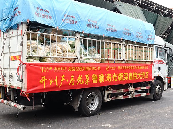 渠路赋能，集团助力沉庆开州蔬菜首发直供大湾区