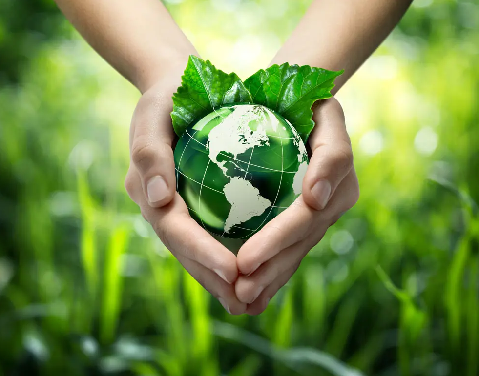 ɫӡˢЩ㶼֪